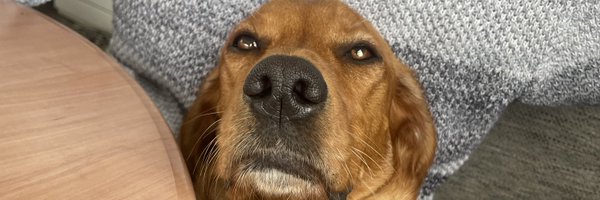 Chloe_chanlon Profile Banner