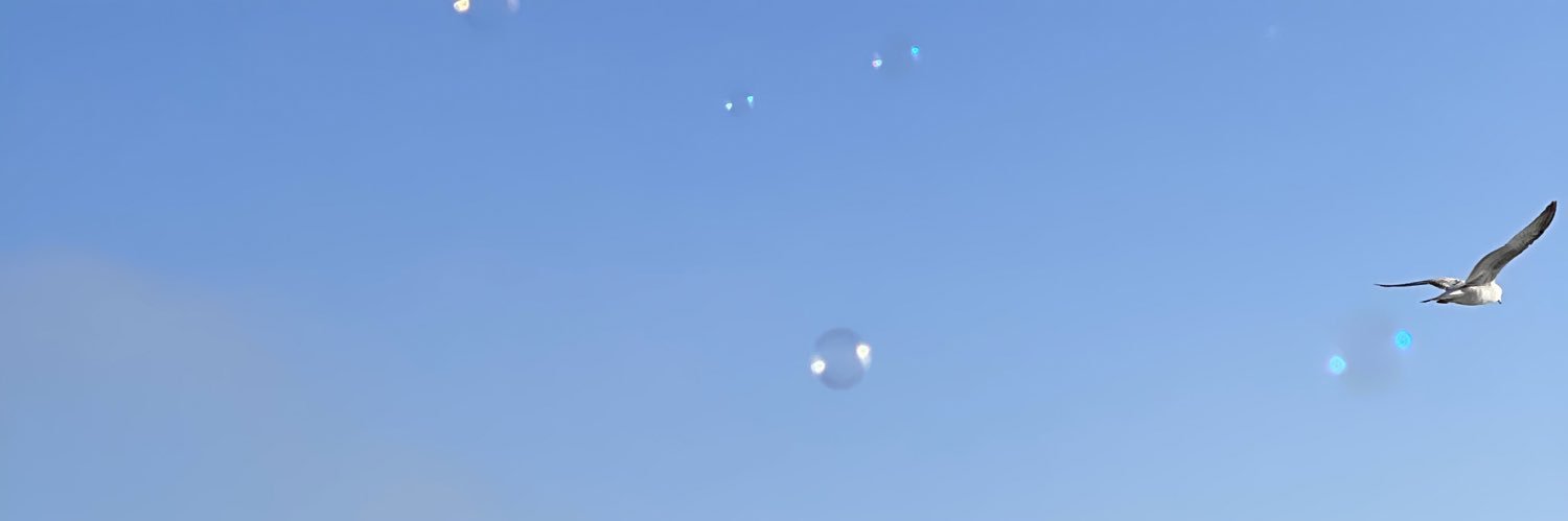 mimszym's profile banner image