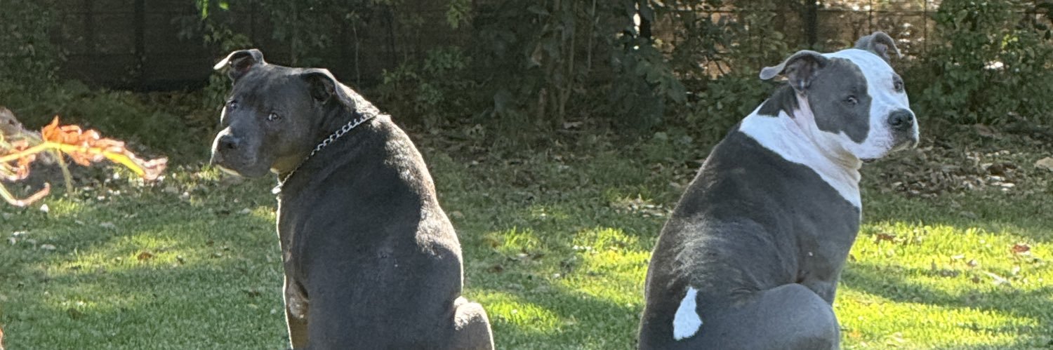 BradRoberson's profile banner image