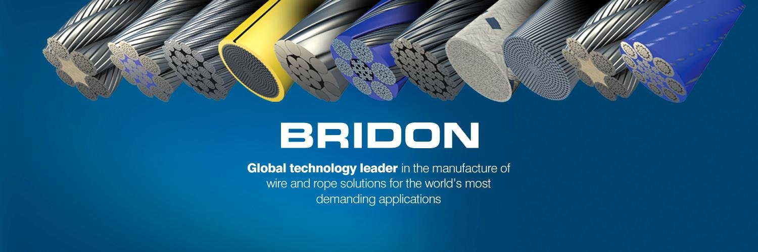 bridon's profile banner image