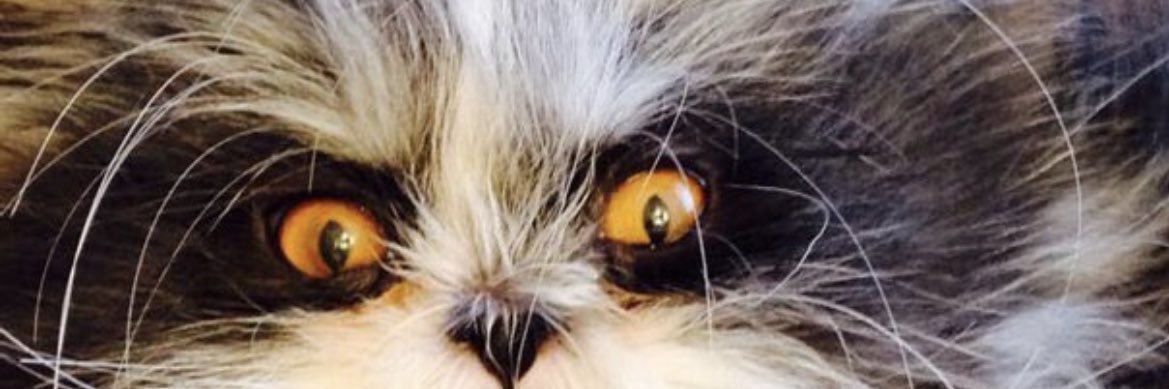bedsore's profile banner image