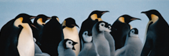 MidoBan69's profile banner image