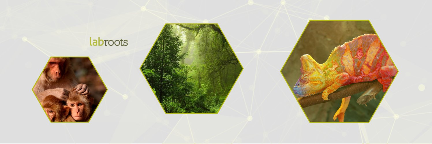 Labroots Plants & Animals banner