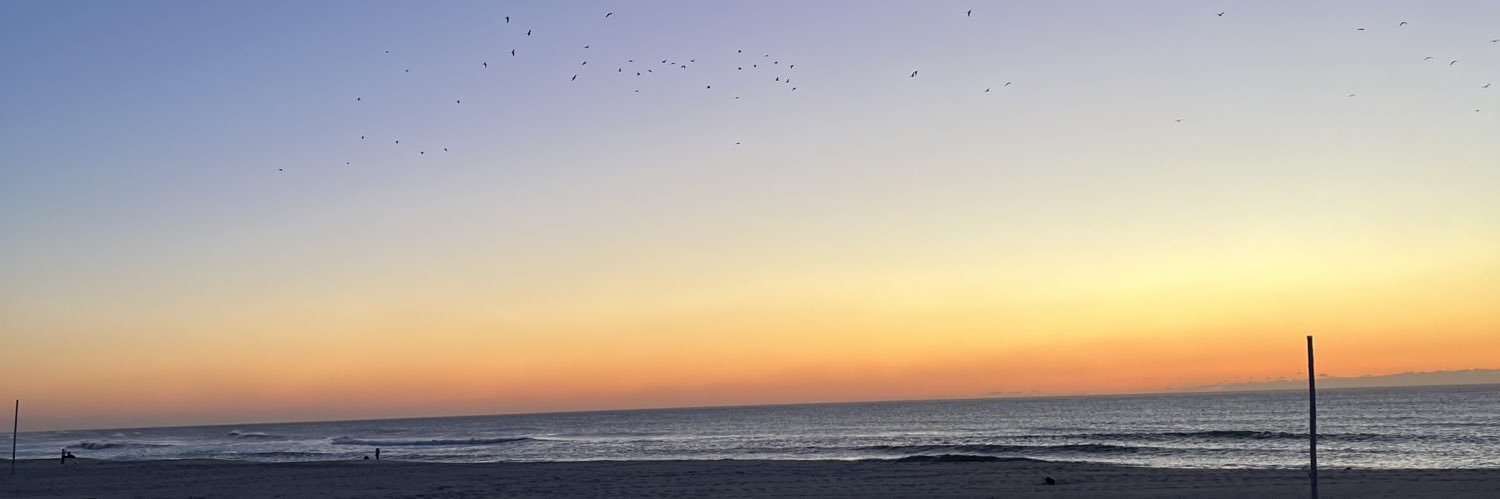 _annaReis_'s profile banner image