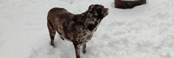 rjkernick Profile Banner