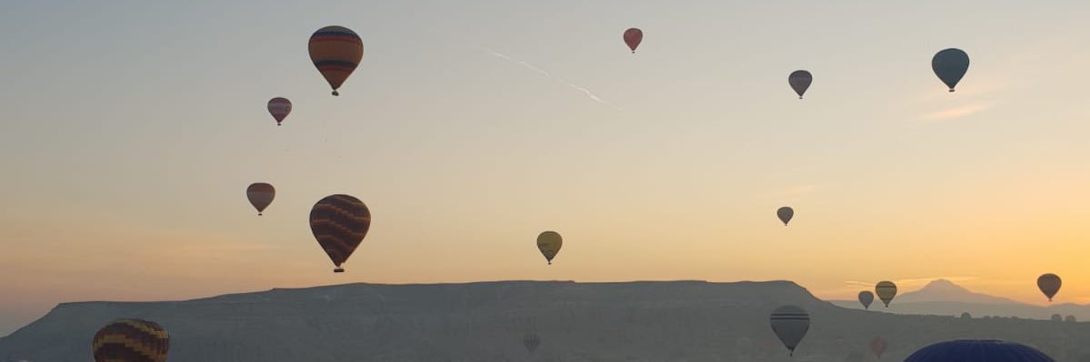 Can Gürsu banner