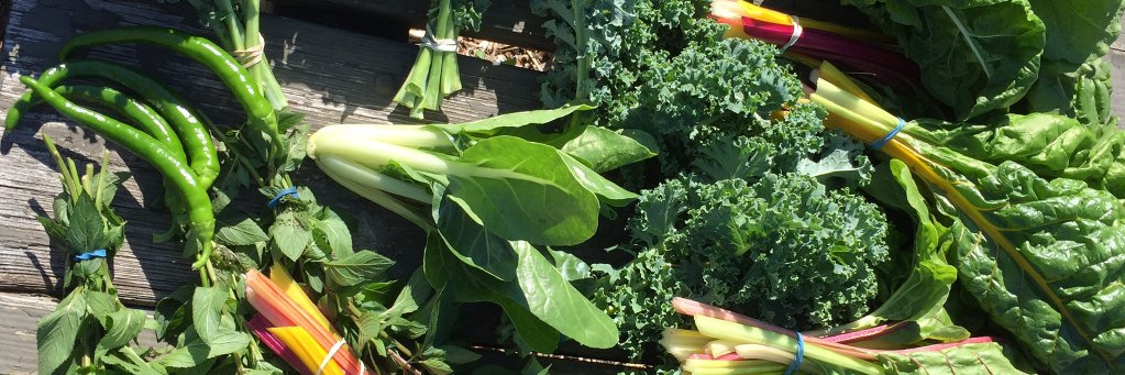 EdibleEvanston's profile banner image
