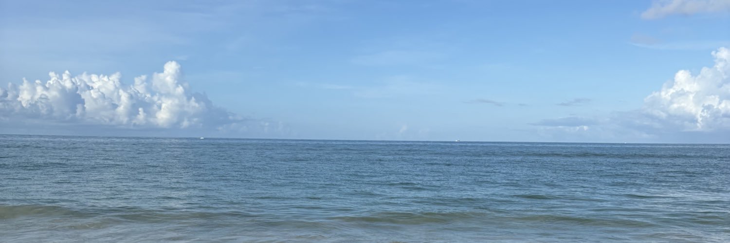 brittlynne3's profile banner image