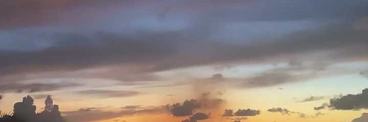 janhavi_p's profile banner image