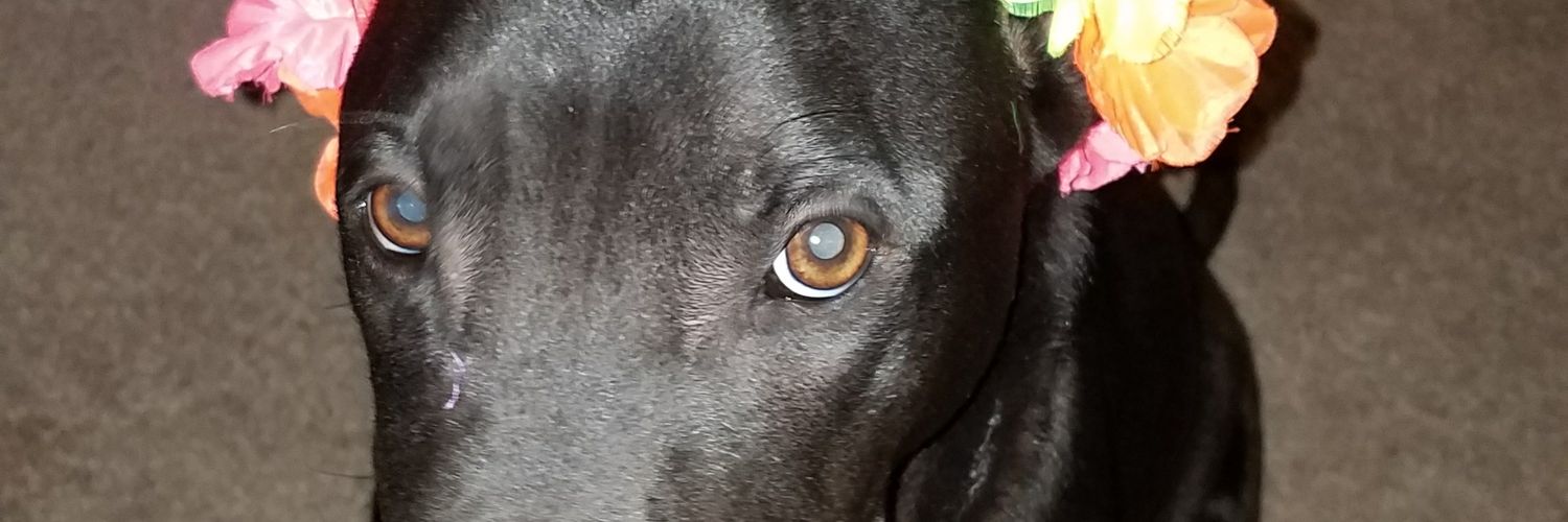 hurleygrl's profile banner image