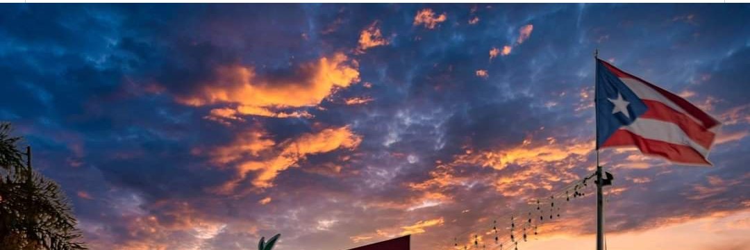 Quina Gonzalez banner