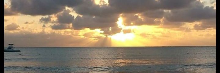 overfeltb's profile banner image