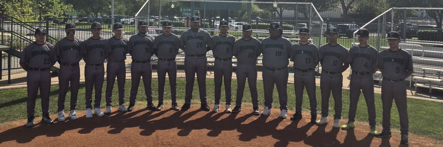 Bulldogs Baseball banner