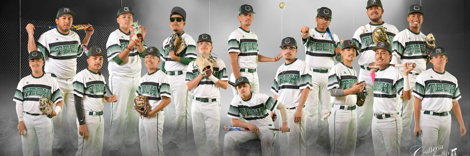 Bulldogs Baseball banner