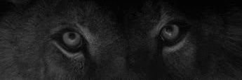 LaxIh's profile banner image