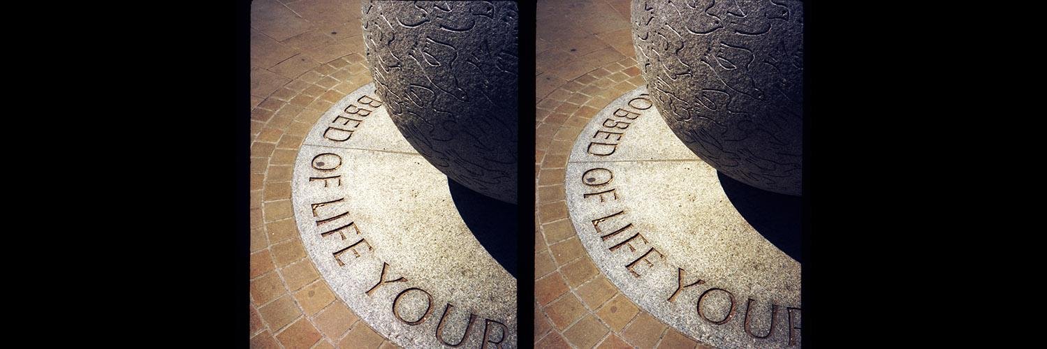 Ashley Mark Pomeroy banner