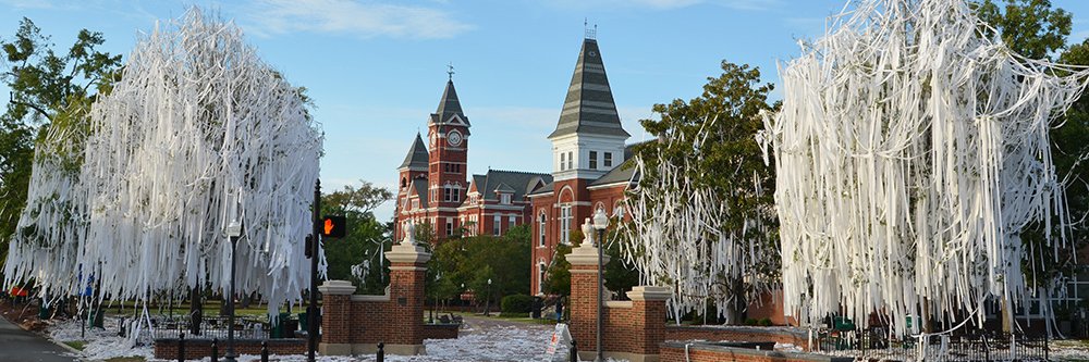 bethanymcclure's profile banner image