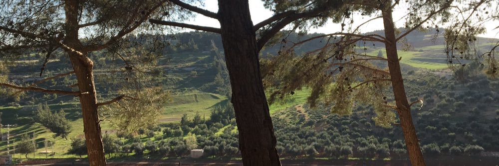 sq705's profile banner image