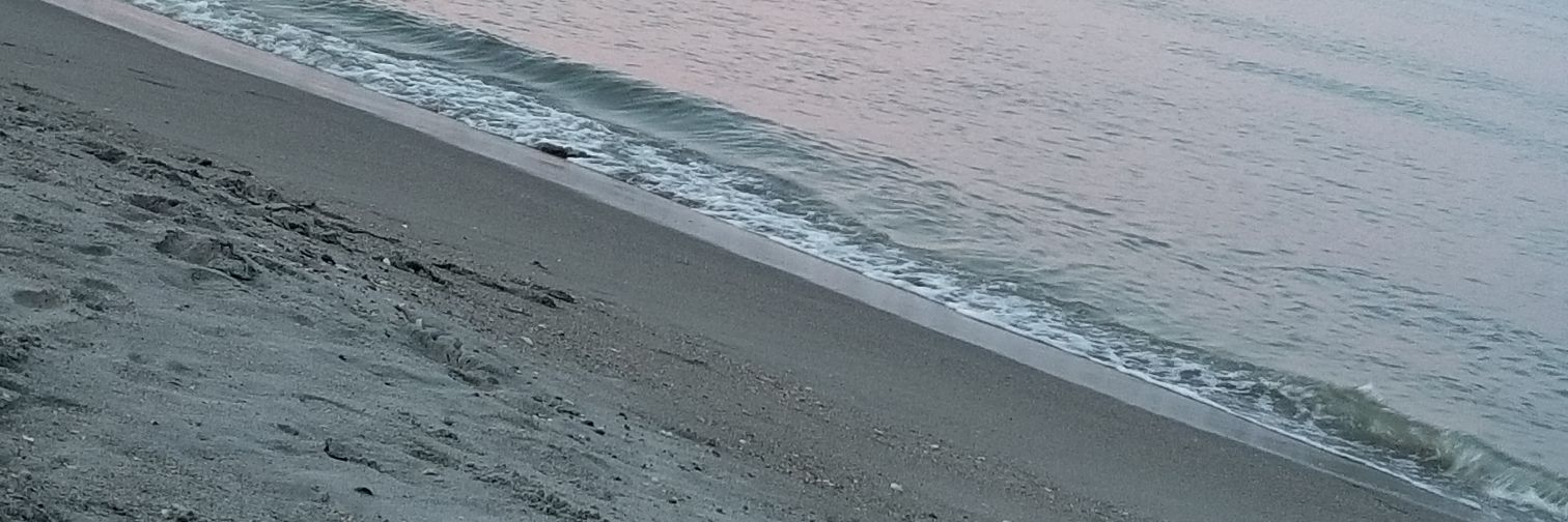 jojorg13's profile banner image