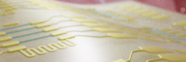 chuanzhenzhao Profile Banner