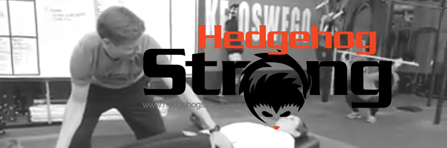 HedgehogStrong's profile banner image
