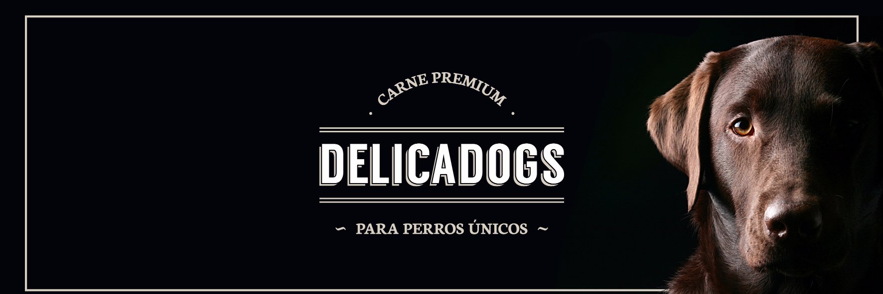 Delicadogs's profile banner image