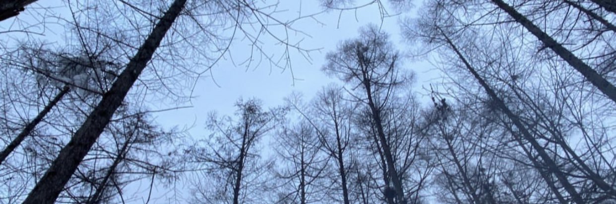 thegianluke's profile banner image
