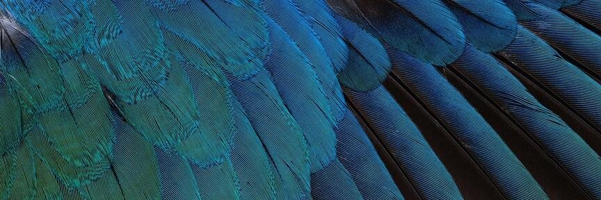 EmperorOswald's profile banner image