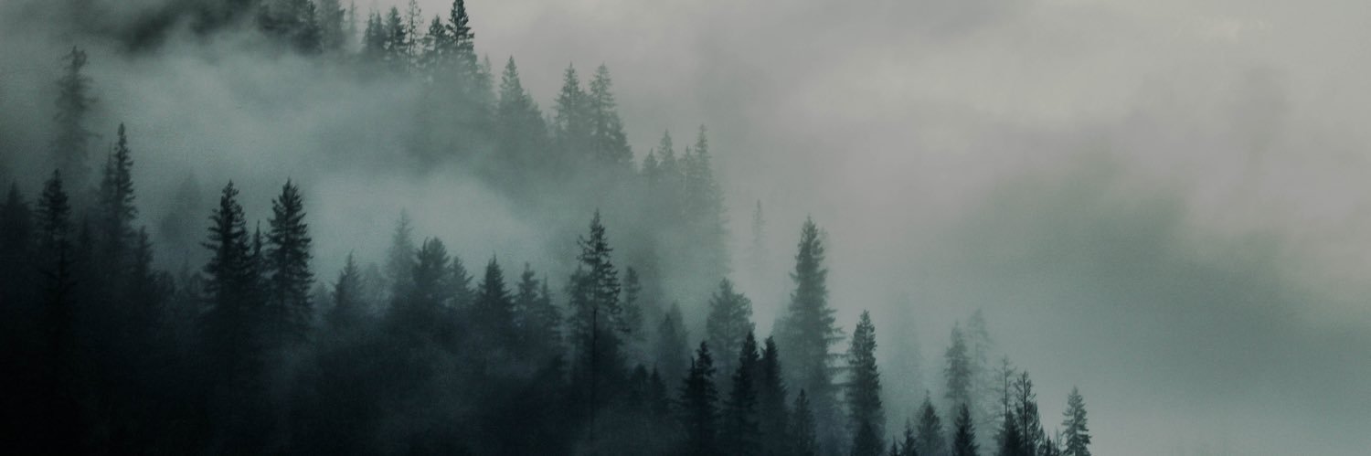 Ace_Swann's profile banner image