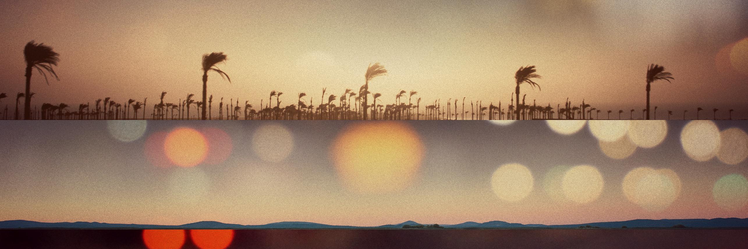 waveatthesun's profile banner image