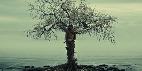 WillGrahamHH's profile banner image