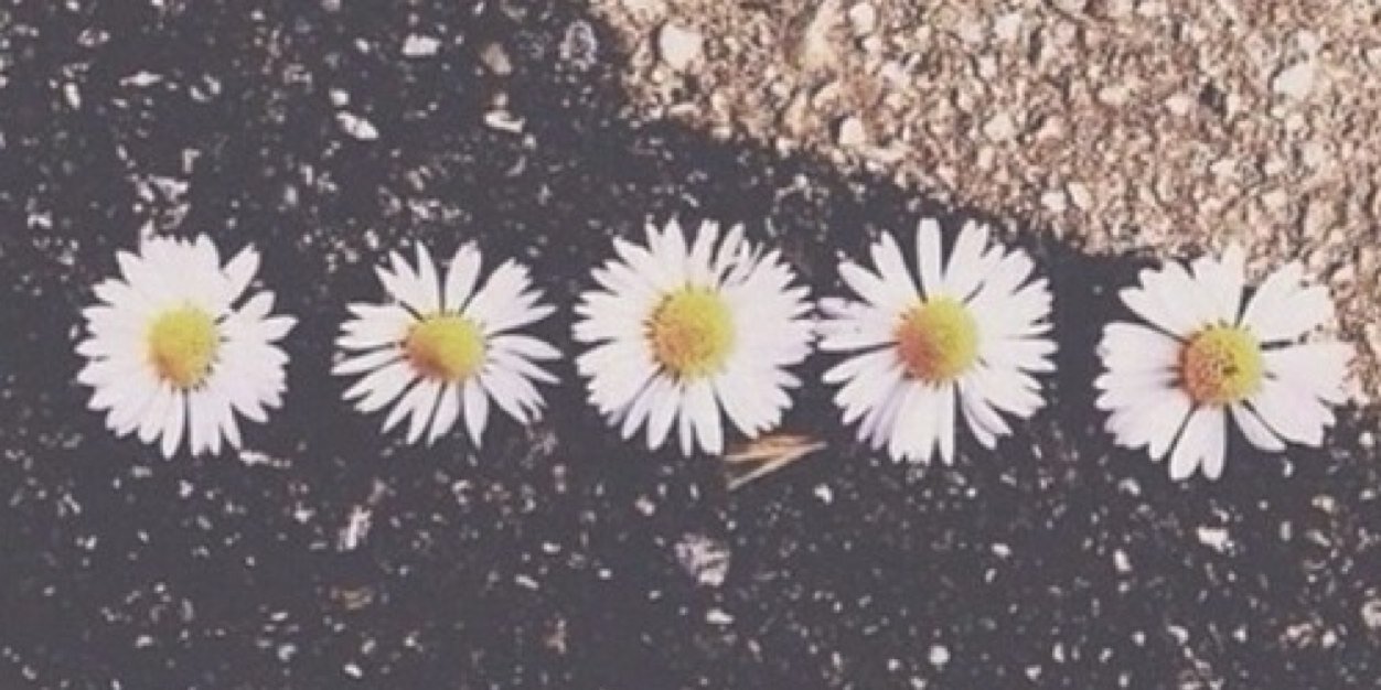 niallRPGWIH's profile banner image