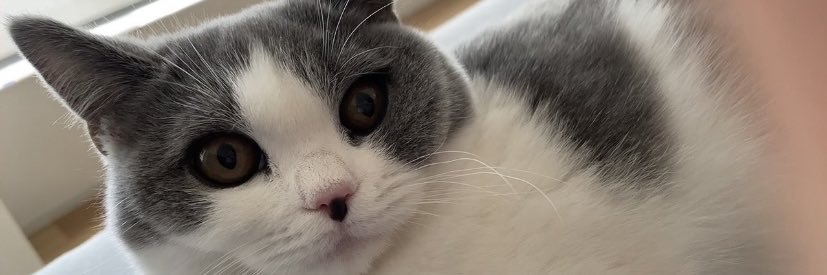 บีแทม banner