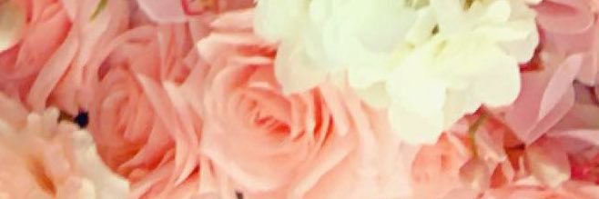seo__han's profile banner image