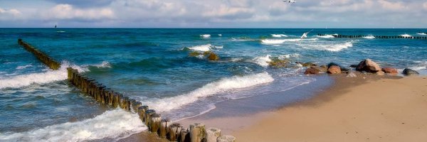 Elli_2305 Profile Banner