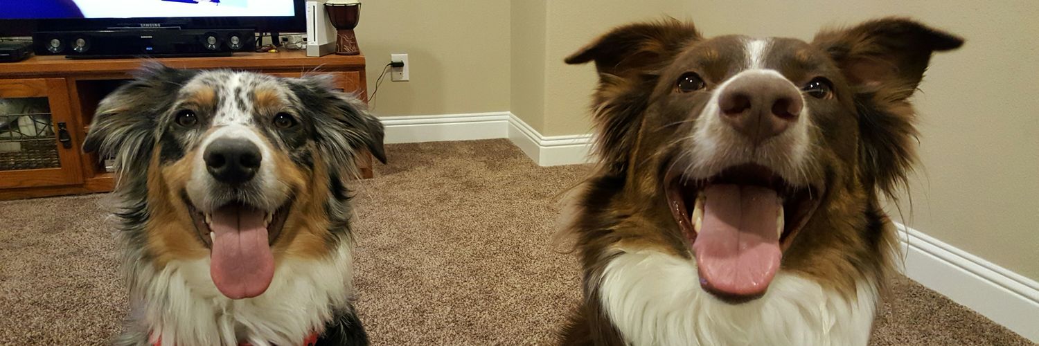 TXdeMander's profile banner image