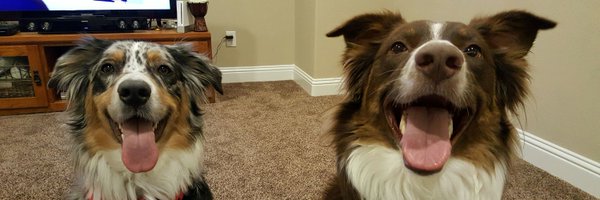 TXdeMander Profile Banner