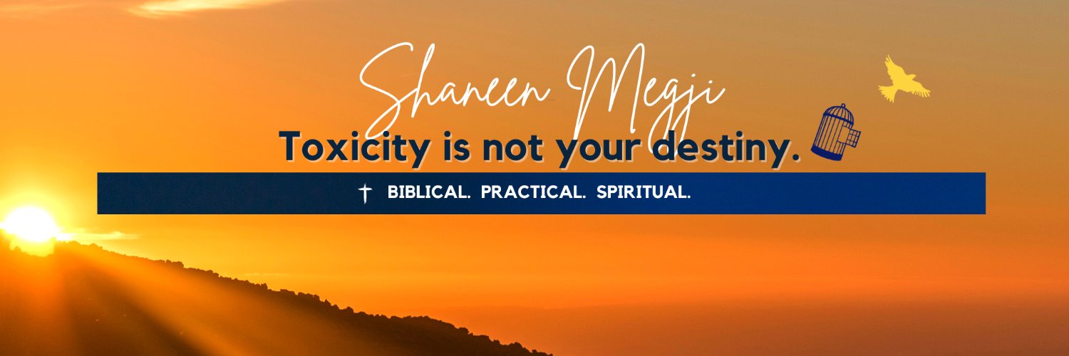 ShaneenMegji's profile banner image