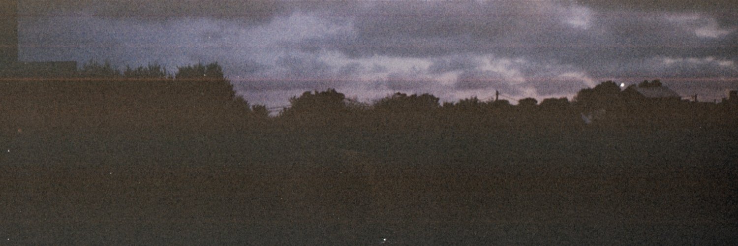 flacaescopet4's profile banner image