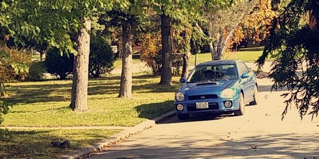 madshittalk's profile banner image