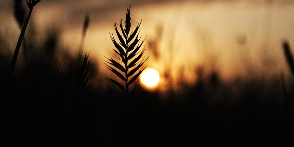_juliaa_h_'s profile banner image
