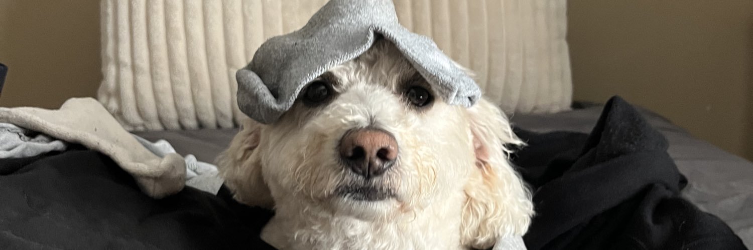 millietempleman's profile banner image
