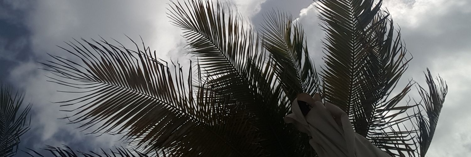 Cindyrellablue's profile banner image