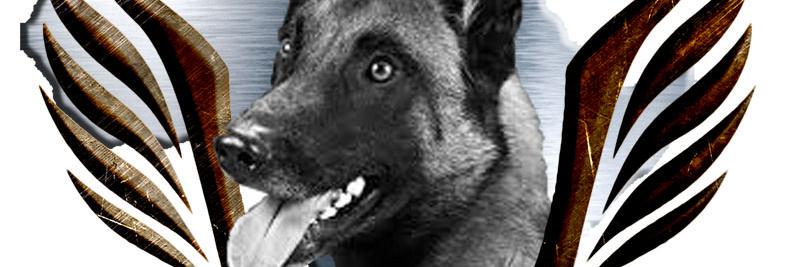 K9Ranger's profile banner image