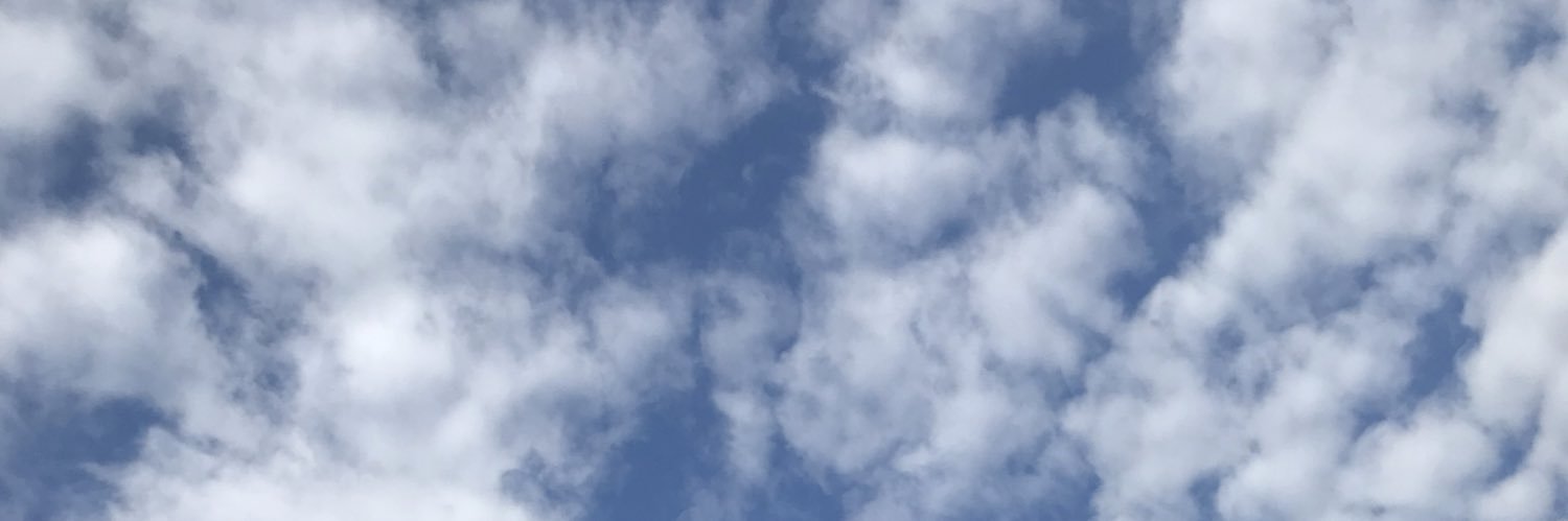 thelastmeltdown's profile banner image