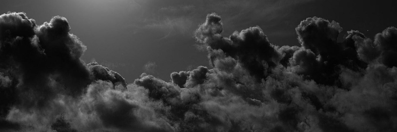 lvisflorex's profile banner image