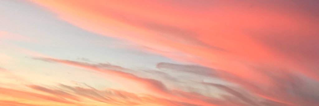 Cecilia Rdz. Ramos banner