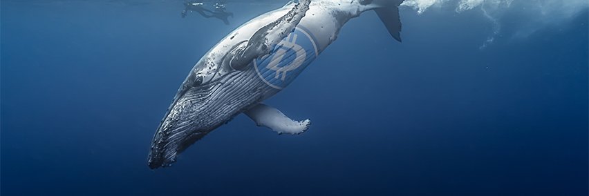 DefiantVictory's profile banner image