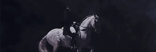 ابو فهد🥈 banner