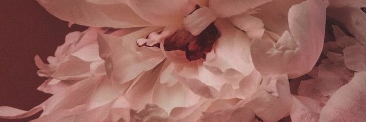 BeautiifulRosee's profile banner image